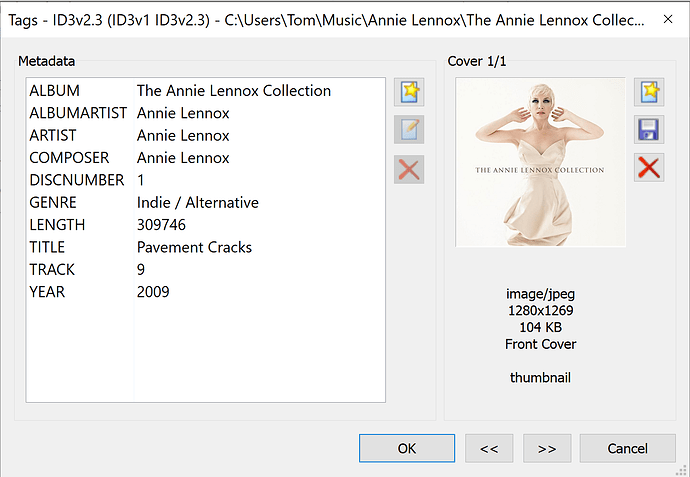 mp3tag sample 2
