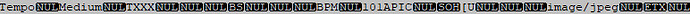 BPM TXXX 04 With APIC (BSI Simian)Mp3tag v3_32d