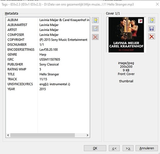 Mp3 Tag_ ALT-T_ tag with albumartist