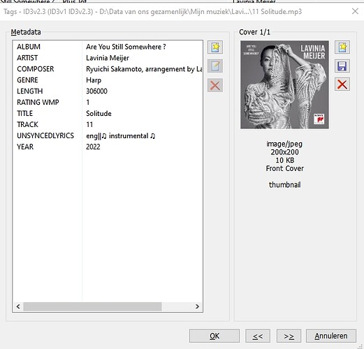 Mp3 Tag_ ALT-T_tag without Album Artist