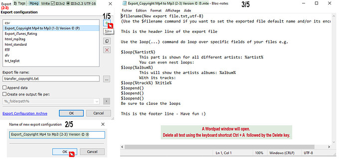 02-4)Export - All data entry steps (02-03) 01-02 copy