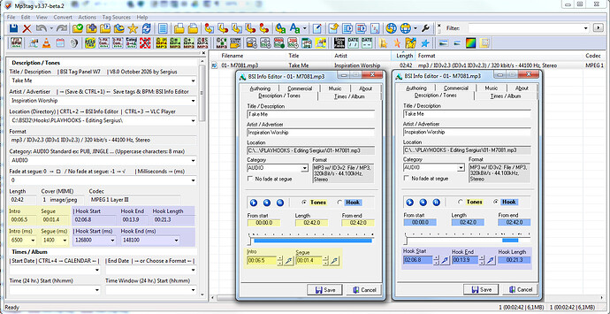 09- Mp3tag v3.37-beta.1 –place the _Customize... Columns_ features in the tag panel... Real BSI Intro, Segue etc copy