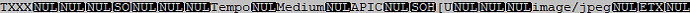 08) Tempo Tag APIC (nornal) & imag_jpeg With Mp3tag v3_32_ BSI Info Editor (BSI Simian)