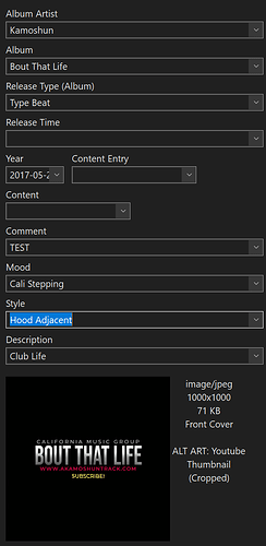 MP3TAG Tag Panel