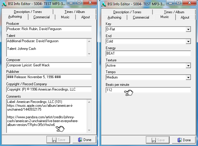02 BSI Info Editor - Comments and beats per minute (BPM), full texts